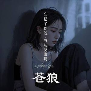忘记了你就当从没出现 (伴奏)