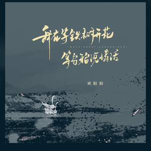 我在等铁树开花 (live合唱版)