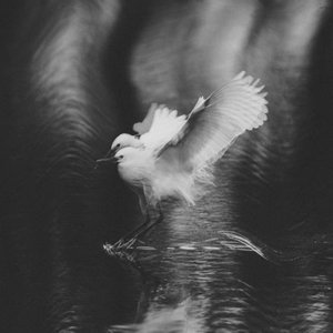 浮生未歇（Cover 音频怪物）