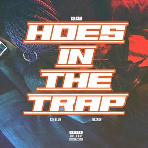 Hoes In The Trap