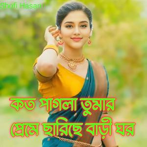 বাবা সারছে বাড়ী ঘর