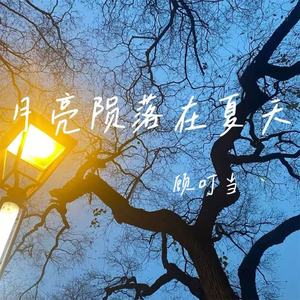 月亮陨落在夏天