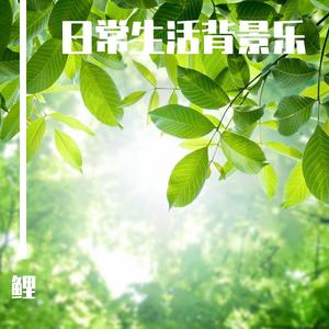 写作业刷题学习的轻音乐