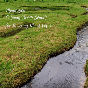 Lucid Dreaming World