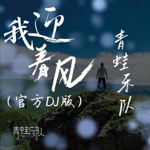 我迎着风 （官方DJ版）