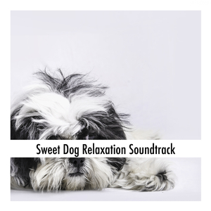 Satisfying Pet Soothing Stress Buster