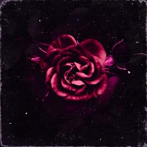 Разбитая Любовь