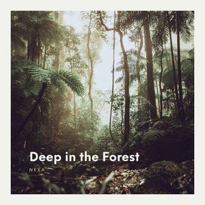 Deep in the Forest