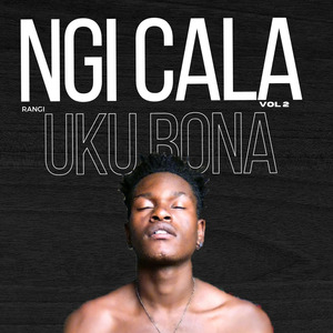 Ngicala ukubona