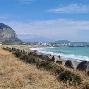 평생의 술 안주