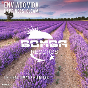 Happiness Gleam (Original Mix)