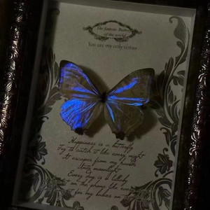 Lutra×0.9（GOSTA remix）