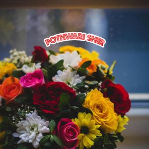 Sang turan tu pehle sang chor gya