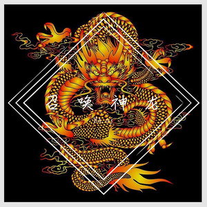 我想召唤神龙(Prod MoonVibe Beatz )