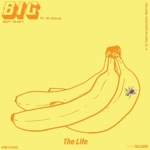The Life (Q Narongwate Remix)