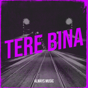 Tere Bina