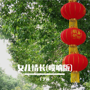 女儿情 (唢呐版)