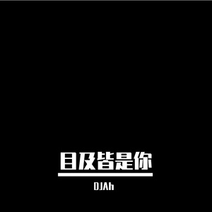 目及皆是你DJ