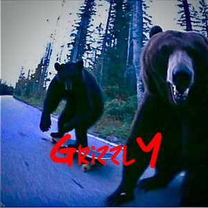 Grizzly