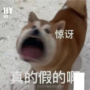 XXSH