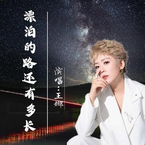 漂泊的路还有多长 (DJ版)