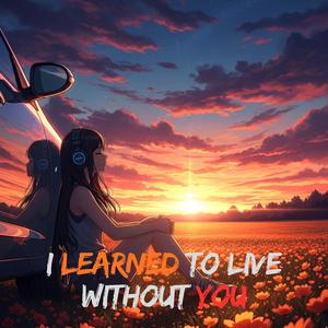 I Learned To Live Without You