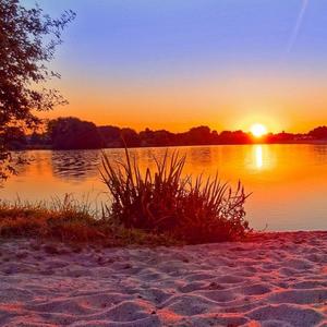 二零三 （热搜版）