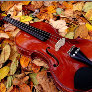 战鼓弦乐（剪辑版）