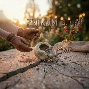 P²MP - Znikam