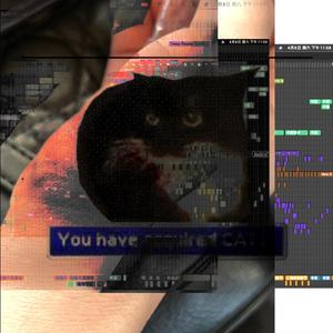 旋转臭猫OiiaicatmemeFlute