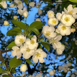 現世の幽霊が漂っています