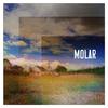 Molar - Shoegazing