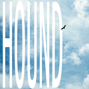 Hound