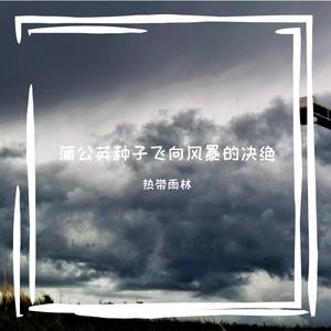 羽毛飘落刀刃的危险诗意