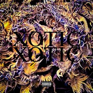 XOTIC ANTHM (feat. TreyvonUpBlick)
