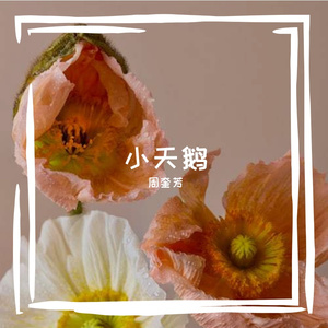 成功wav