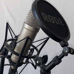 A palos no se aprende (feat. Emmanuel Rain)