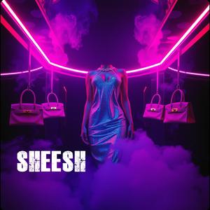SHEESH (feat. Nikata)