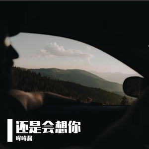 还是会想你