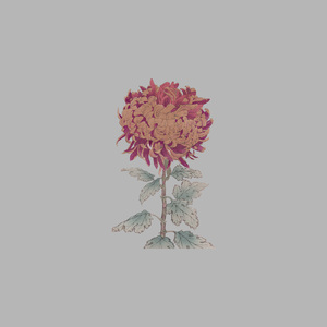 ブルーベリージャム