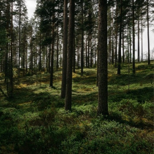 Where did my life go?