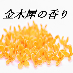 金木犀の香り