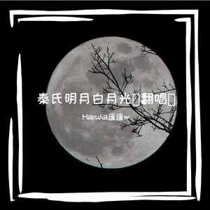 秦氏明月白月光（翻唱子乔倩倩）（翻自 子乔）