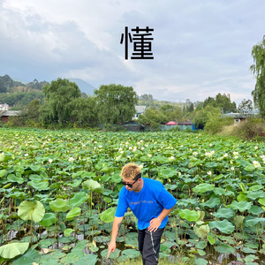 懂