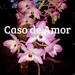 Caso de Amor