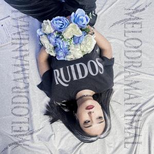 Ruidos