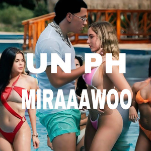 UN PH