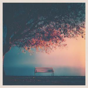 曾经属于我们(温柔版)