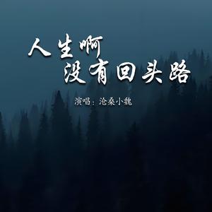 人生啊没有回头路