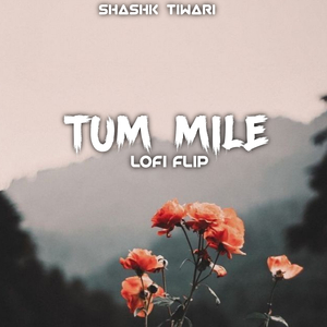 Tum Mile (Lofi)